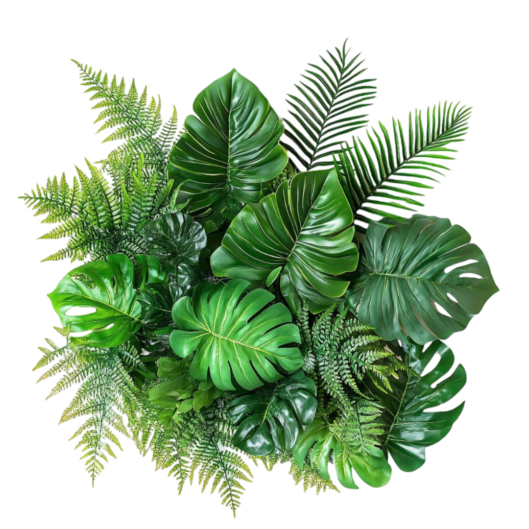 ¡yo te lo recomiendo!