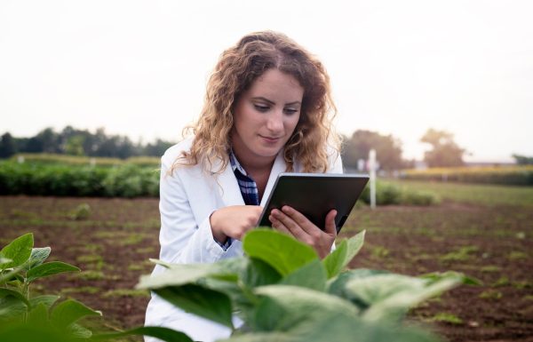 ingeniero-agronomo-femenino-tablet-pc-campo-control-calidad-crecimiento-cultivos-agricultura_342744-593