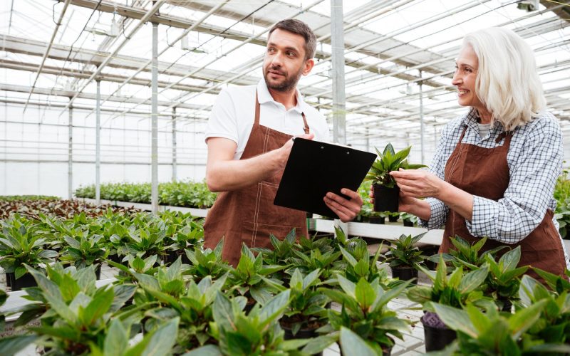 mujer-alegre-que-muestra-planta-su-colega-carpeta_171337-5962