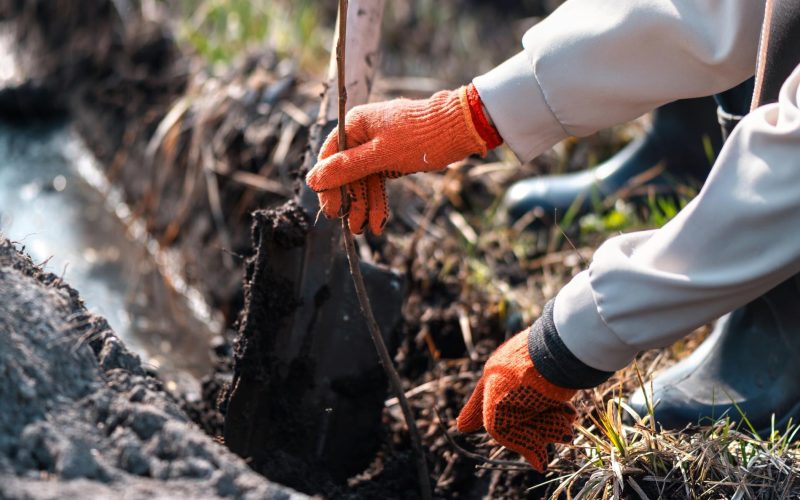 voluntariado-plantando-arboles-naturaleza_1268-21663